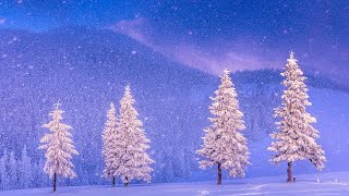 Beautiful  Christmas Music, Peaceful Piano Christmas  Music  &quot;Christmas Winter Woods&quot;  by Tim Janis