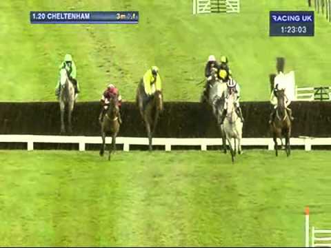 2012 Rewards4Racing Novices' Chase