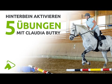 Top 5 pole exercises for an active hindquarters | wehorse