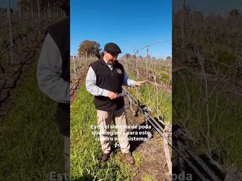 La poda y la paciencia #uruguay