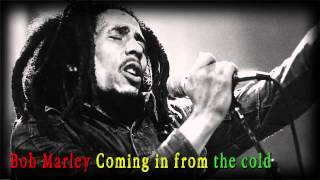 Bob Marley Coming in from the cold (mp3)