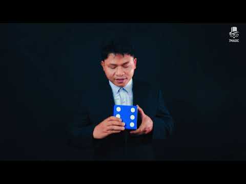 Nine Sided Die - 7 Magic Inc