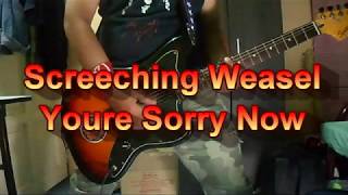Screeching Weasel - Youre Sorry Now (Guitar Cover)