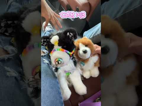 OUTING WITH @SnapdragonsPawz  !! #essacommunity #essa 