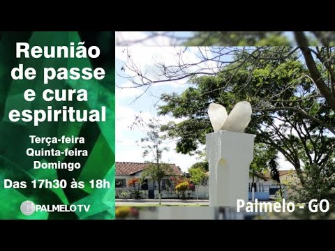 Reunião de Passe e Cura Espiritual N. 753 - 25/01/2026