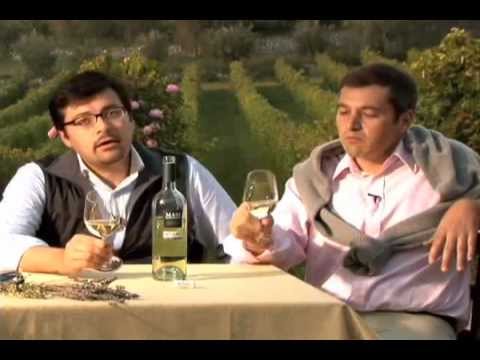 Masi Passo Blanco - English