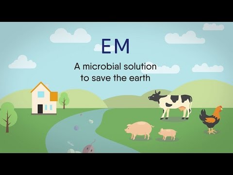 What is EM (Effective Microorganisms®)