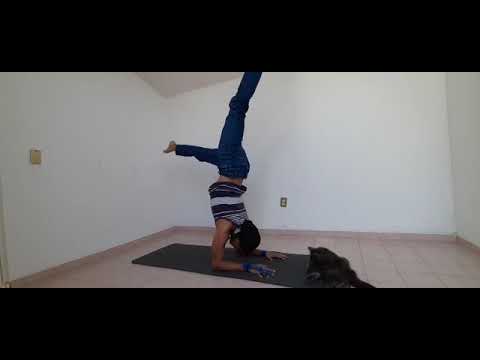 Parada en antebrazos