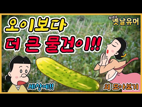 , title : '오이 만큼 큰 물건을 가진 사람이?! 외 모아보기 ㅋㅋ [고전유머, 아재개그, 고금소총, 웃기는 이야기]'