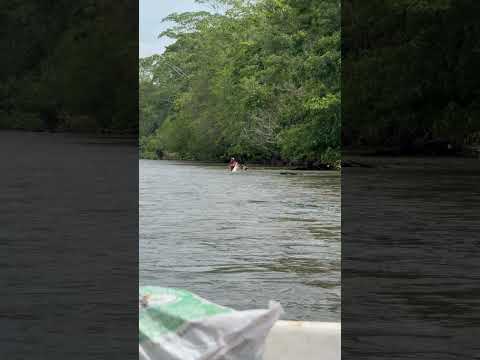 Río San Juan, Nicaragua