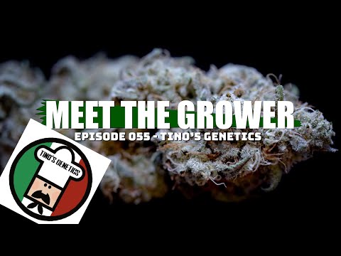 Meet the Grower Ep. 055 - Tino's Genetics - Sponsored by Mars Hydro