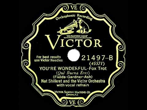 1928 Nat Shilkret - You’re Wonderful (Franklyn Baur, vocal)