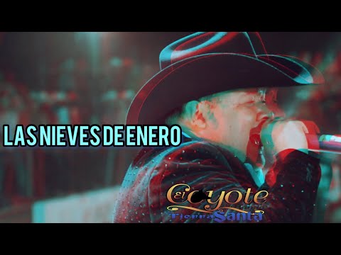 Miniatura de Las Nieves de Enero