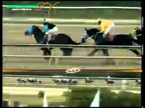 LA RINCONADA 10 CARRERA DOMINGO 06 DE JULIO DEL 2014