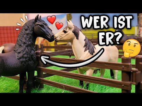 WHO IS HE? 😨😯 #8 Puzzle at the Grünwaldhof 🐴 Schleich Series