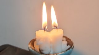 צפצופי עופות ושיחת דקלים 1 פורים.
