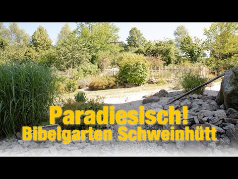 Paradiesisches Kleinod: Bibelgarten Schweinhütt