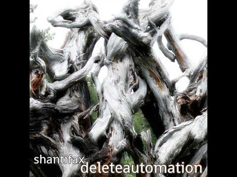 04 Shantifax feat. Irrsin - Ancient Fields