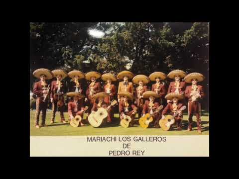 Mariachi Los Galleros de Pedro Rey - El Golpe Final