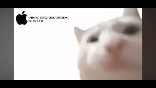 Download lagu cat meow iphone ringtone 1 hour mp3