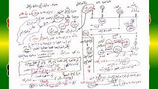 صورة 89 √ وثيقة الإشارة والحال