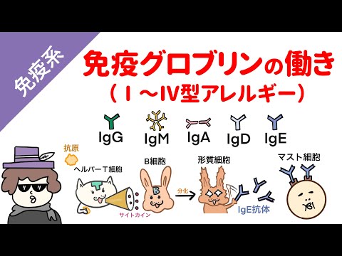 フェドリッツィ科について詳しく解説