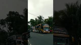 Download lagu Story' Wa convoi Bus kupu kupu ayu ||Cinematic cupu cupu ayu #kupukupuayu #business #story #bus mp3