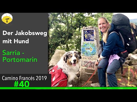Der Jakobsweg von Sarría nach Portomarín - Doku 2019 (4K) [Ein Stempel an jeder Ecke] |#Camino Franc