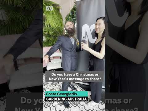 Merry Christmas and a Happy New Year | Chatting to AACTA Award nominees