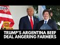 Trump S Argentina Beef Deal Angers America S Struggling Farmers You Re Selling Us Out 4K