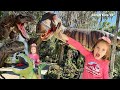 Kid Goes to Dinosaur World 🦖🦕 Jurassic World Dino Adventure