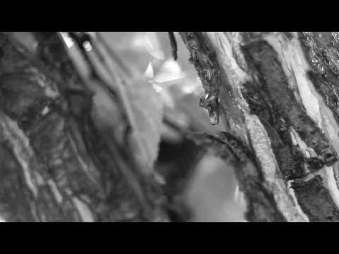 Atlas Hands - Benjamin Francis Leftwich