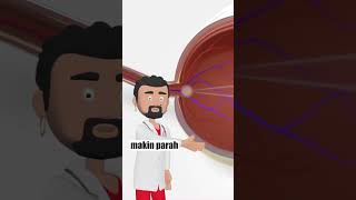 Download lagu Nearsightedness/Nearsightedness mp3