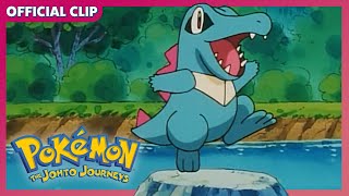 Totally Adorable Totodile! | Pokémon: The Johto Journeys | Official Clip