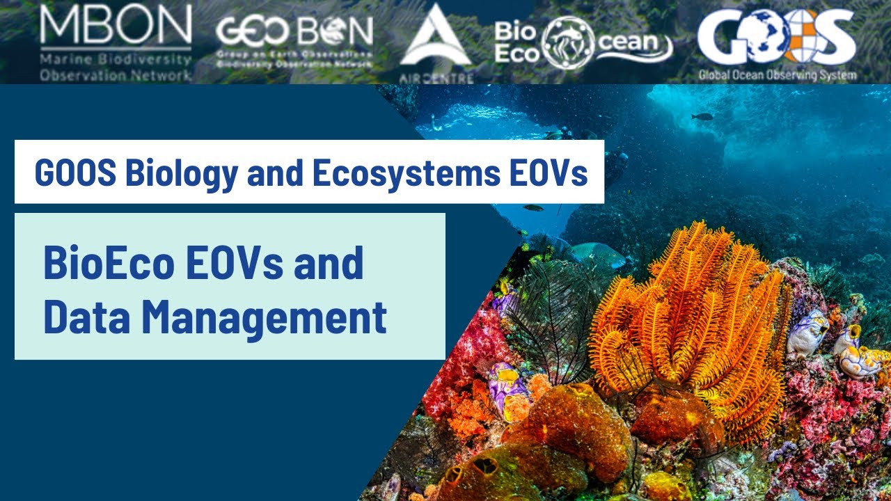 Webinar: GOOS Biology and Ecosystems Essential Ocean Variables & Data Management
