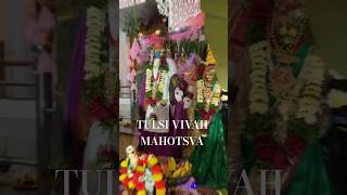 Tulsi Vivah Celebration