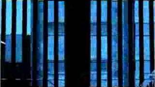 03. Concrete Jungle (Pfadfinderei & Modeselektor) - labland dvd