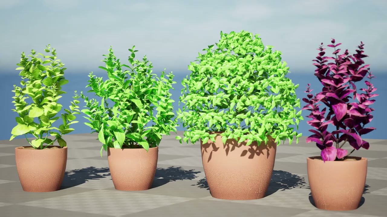 Rośliny bazylii Low-Poly z bezpłatnym samouczkiem Model 3D