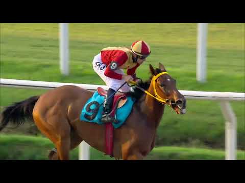 230319 c09 LUCERO LINDA