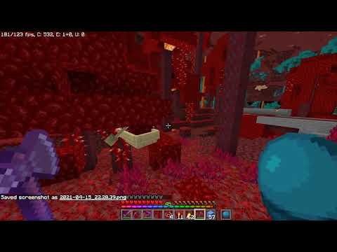 Bye, have a great time