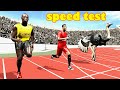 Ronaldo vs Usain Bolt vs Ostrich  Animation Speed Test