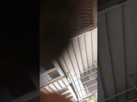 Psycho Bogan goes postal on housemate