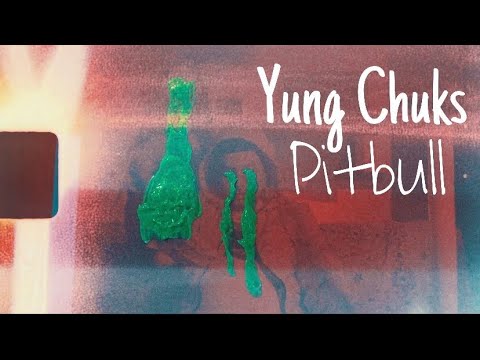 PitBull- Yung Chuks (Official Music Video) Dir. @559filmz3