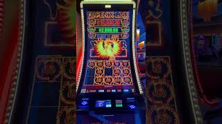 Phoenix Link - General Tso Big win!! #highlimit #phoenix #casino #gameplay #gambling
