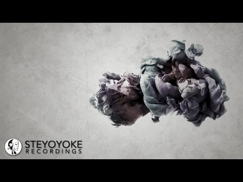 Craig Pruess Feat. Ananda - Lalitha Ashtotram (Audio Junkies & Sahar Z Remix) | Steyoyoke