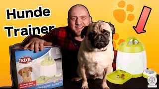 ✅Trixie Dog Activity Memory Trainer 2 0 "Hunde TRAINIEREN"