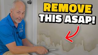 Water Damage? Do This BEFORE Mold Takes Over