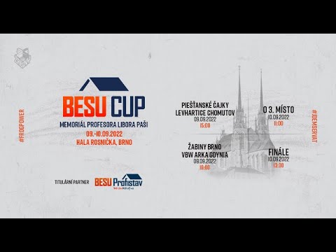 TK BESU CUP: finále Žabiny Brno - Piešťanské Čajky