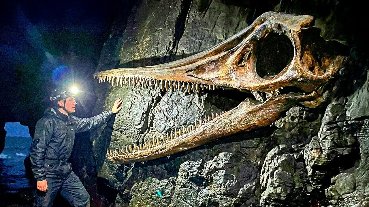 Paleontologists Found an Eerie Creature That Didn't Match Any Known Species