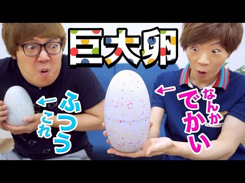 超巨大卵を孵化させたらまさかの◯◯が生まれた・・・【ヒカキン&セイキン】